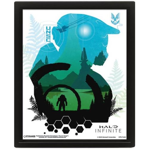 3D Obraz v rámu - Halo Epee