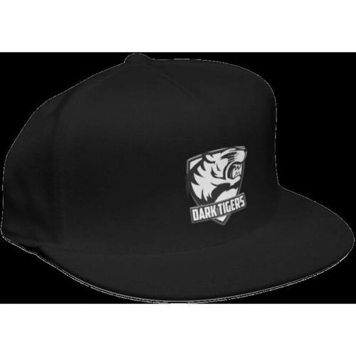 Kšiltovka Dark Tigers (Snapback) Heo