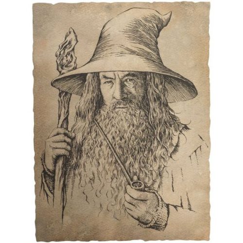Art print Lord of the Rings - Portrait of Gandalf the Grey FS Holding