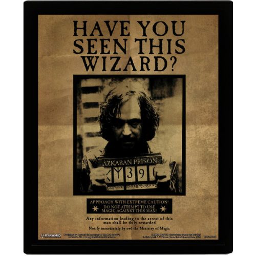 3D Obraz v rámu - Harry Potter - Sirius Pyramid International