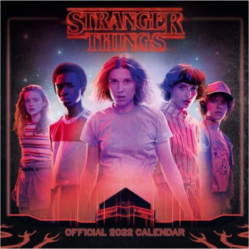 Kalendář 2022 Stranger Things Danilo