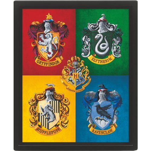 3D obraz Harry Potter barevný Pyramid International
