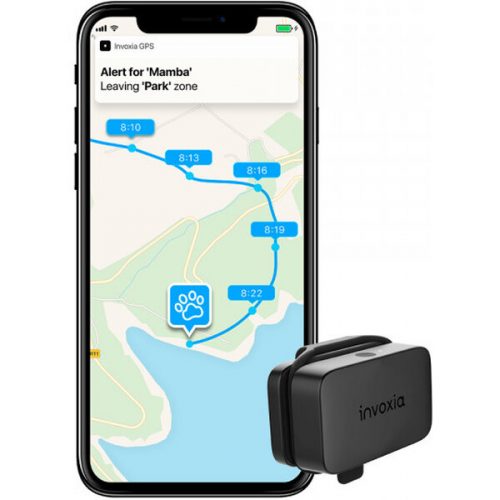Invoxia GPS Pet Tracker Invoxia