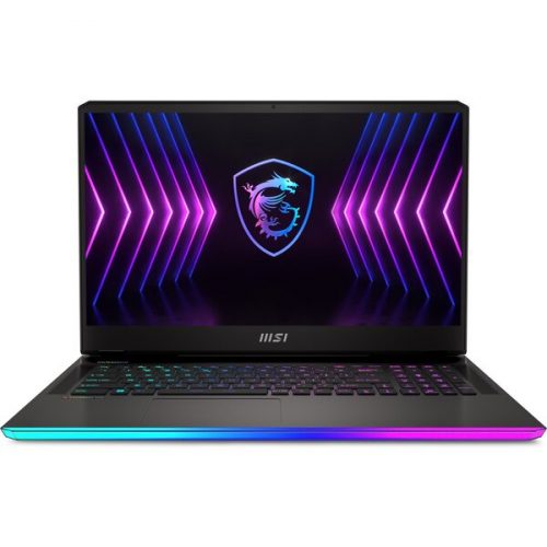 MSI Raider GE77HX (12UGS-007CZ) šedý MSI