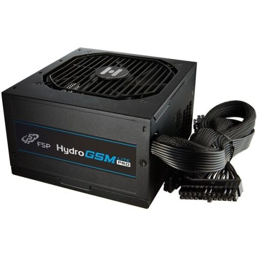 Fortron HYDRO GSM Lite PRO 650 Fortron