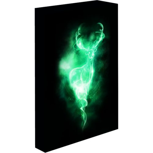 Obraz LED svítící 30x40