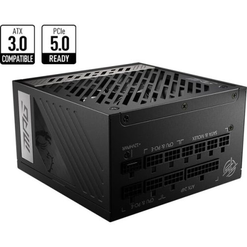 MSI MPG A1000G PCIE5 1000W MSI