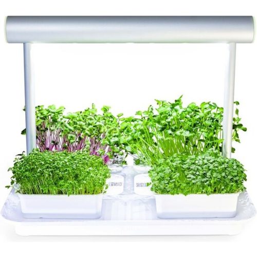 Microgreens by Leaf Learn Mini Starter Pack Leaf Learn