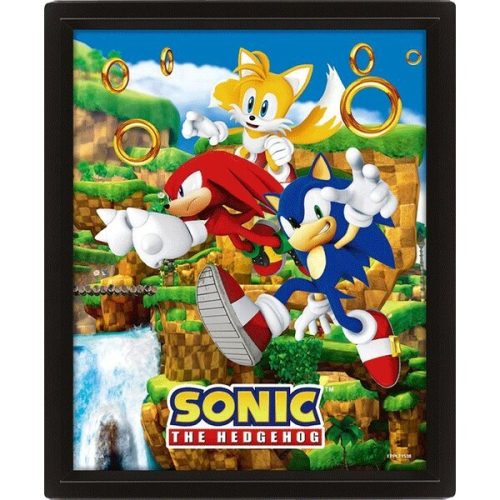 3D obraz Sonic - Catching Rings Pyramid International