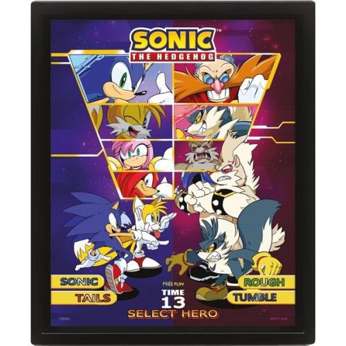 3D obraz Sonic - Select your Fighter Pyramid International