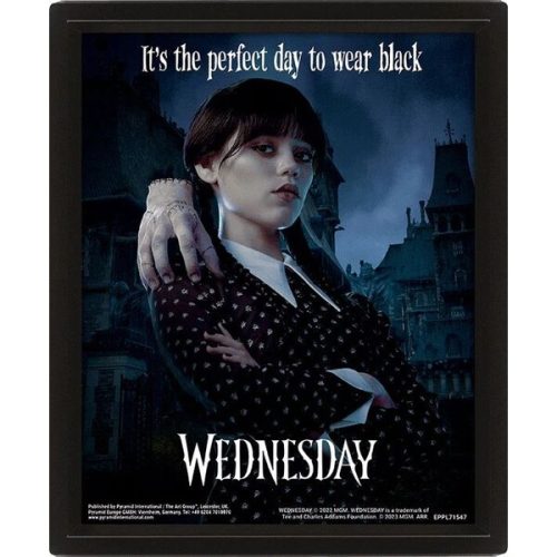 3D obraz Wednesday - Perfect Day Pyramid International
