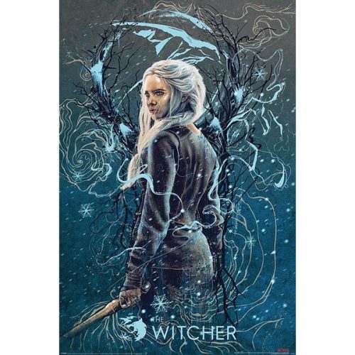 Plakát The Witcher - Ciri the Swallow (265) Europosters