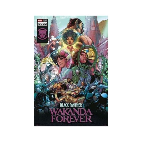 Plakát Black Panther: Wakanda Forever (202) Europosters