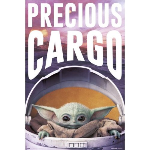 Plakát Star Wars: The Mandalorian - Precious Cargo (142) Europosters