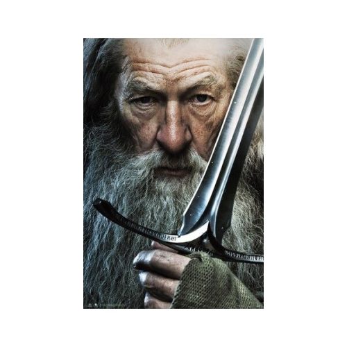 Plakát The Lord of the Rings - Gandalf (180) Europosters