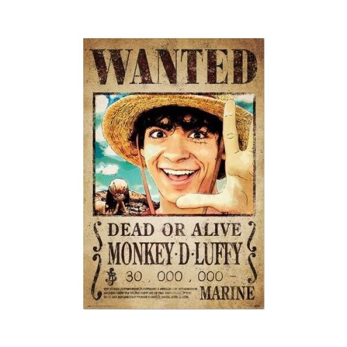 Plakát One Piece - Wanted Monkey D. Luffy (213) Europosters